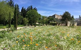 Domaine Les Martins - Gordes